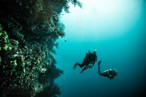 Divers in Vatu-i-Ra marine park 