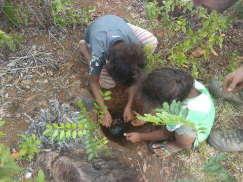 Enfants participants aux plantations sur le bassin versant de Touho