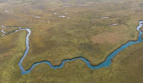 Zone Ramsar de la Plaine des Lacs, Grand Sud de Nouvelle-Calédonie (©CPS)